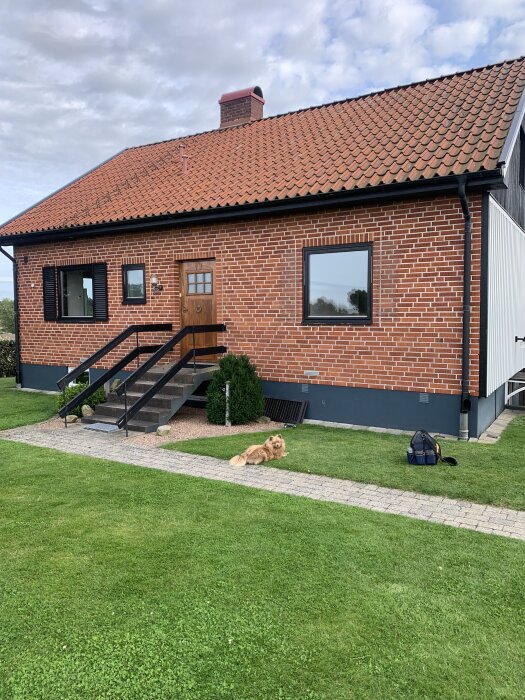 Tegelhus med nytt tak och fasad, grönt gräs framför, en hund ligger på stengången och en verktygsväska syns på gräset.