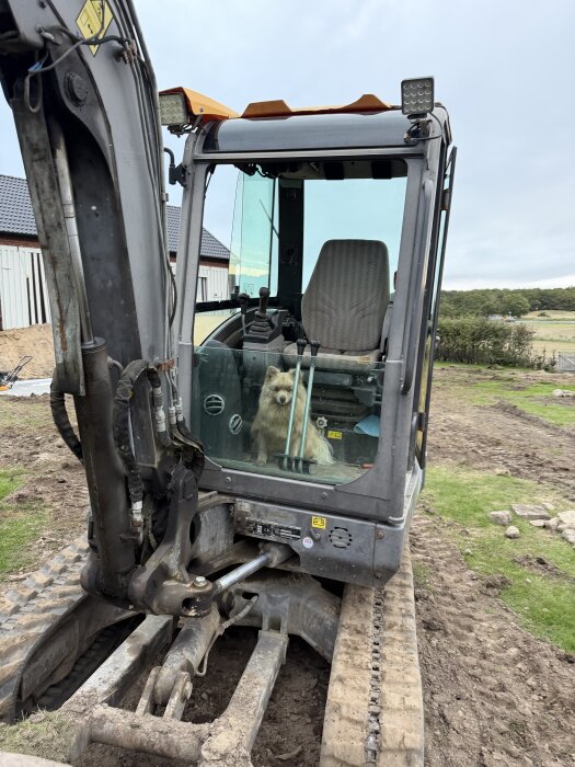 Grävmaskin med en liten hund i hytten står på en jordig arbetsplats under en byggprocess, redo för markarbete vid poolprojekt.