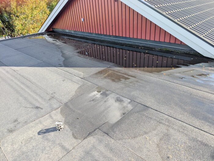 Vattenpölar på ett platt garagetak efter regn. Taket har några ojämnheter och en brunn är synlig. Ett rött husvägg är i bakgrunden.
