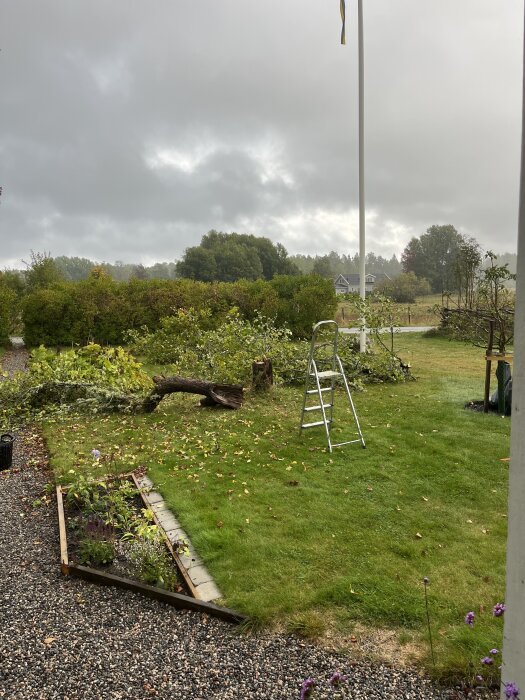 Gräsmatta med fälld trädstam, stege vid flaggstång, och blomsterrabatt i en trädgård, omgiven av buskar och molnig himmel.