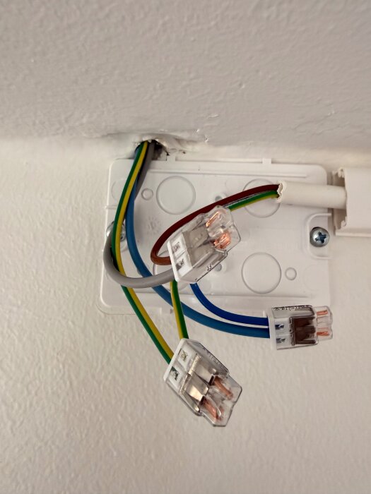 Elkablar anslutna till kopplingsdosor i takhöjd förbereder installation av ett extra eluttag. Kablarna har olika färgkodning.