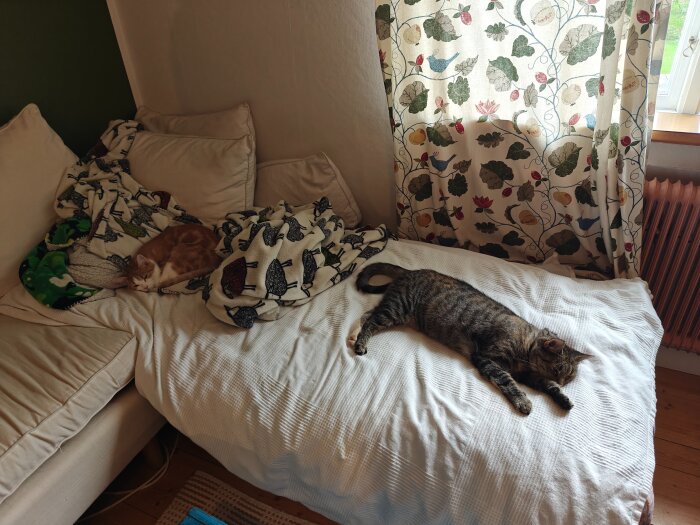 Två katter ligger och vilar på en soffa, en inbäddad i en mönstrad filt och en annan utsträckt på ett vitt överkast.