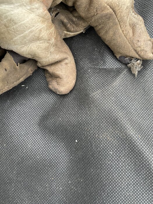 Hand i arbetshandske inspekterar slitna materialskikt på ett tak, bakomliggande takpapp syns.