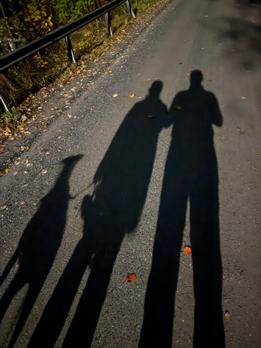 Skuggor av två personer och en hund på en landsväg, skiner i månskenet.