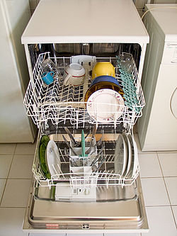 250px-Dishwasher_open_for_loading.jpg