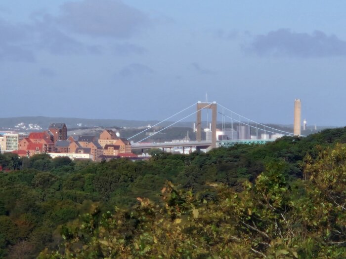 Utsikt över Göteborg med Älvsborgsbron i förgrunden, omgiven av grönska och stadens byggnader i bakgrunden.