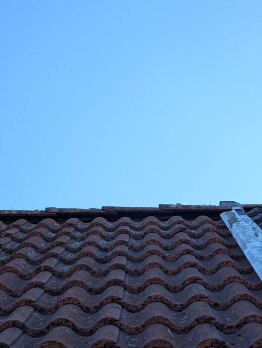 Tegeltak med tydlig glipa mellan taknock och tegelpannor under klarblå himmel.