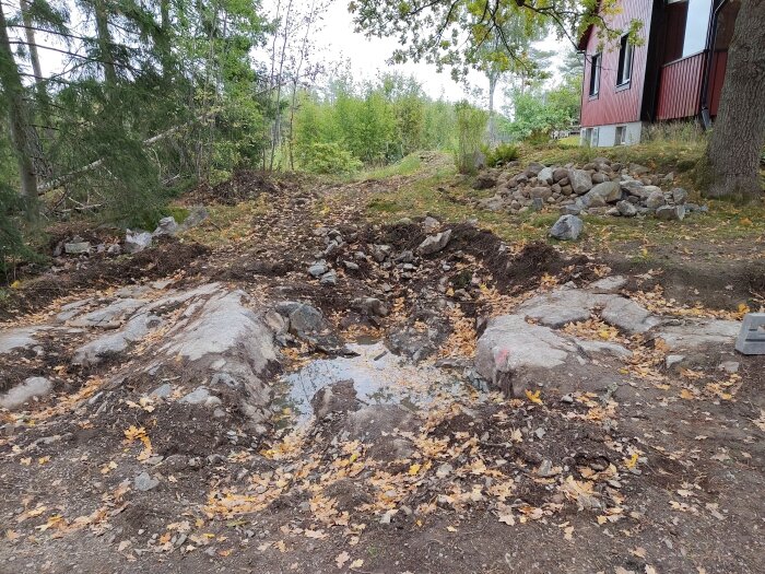 Grävd grop med synliga bergpartier och löv på marken, omgiven av träd och en byggnad i bakgrunden.