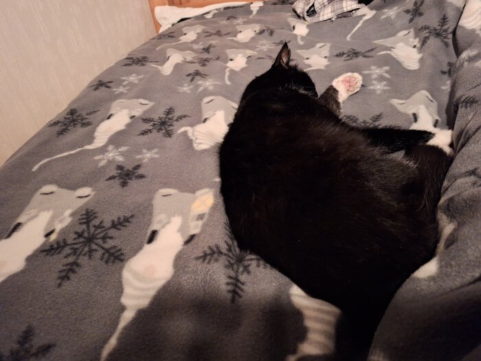 Svart katt ligger på en säng med ett grått täcke med kattmotiv.