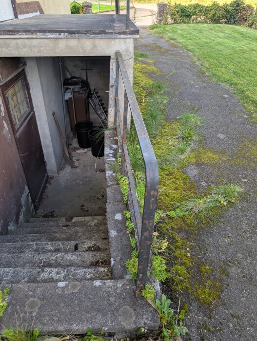 Nedgång till källare med slitna cementtrappor, rostigt räcke och mossbelagt område bredvid, samt dörr bredvid trappan.