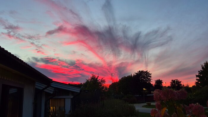 Rosa och lila solnedgångshimmel över ett bostadsområde med träd och hus i silhuett i förgrunden.