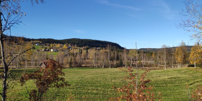 Landskap med gröna fält, höstfärgade träd och en by på avstånd under en klarblå himmel.
