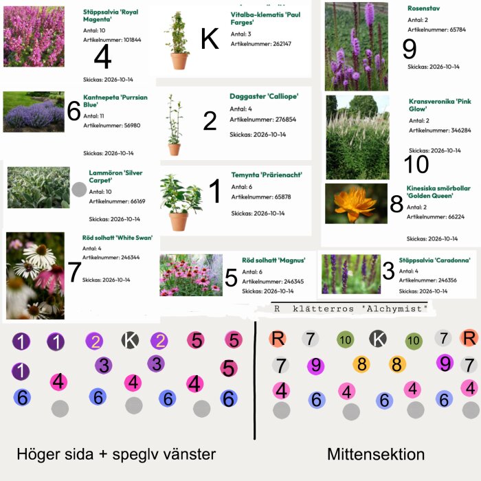 Plan för balkonglåda med 10 olika plantor markerade med färgkod och antal, inklusive stäppsalvia, kantnepeta, kinesiska smörbollar och klätterros.
