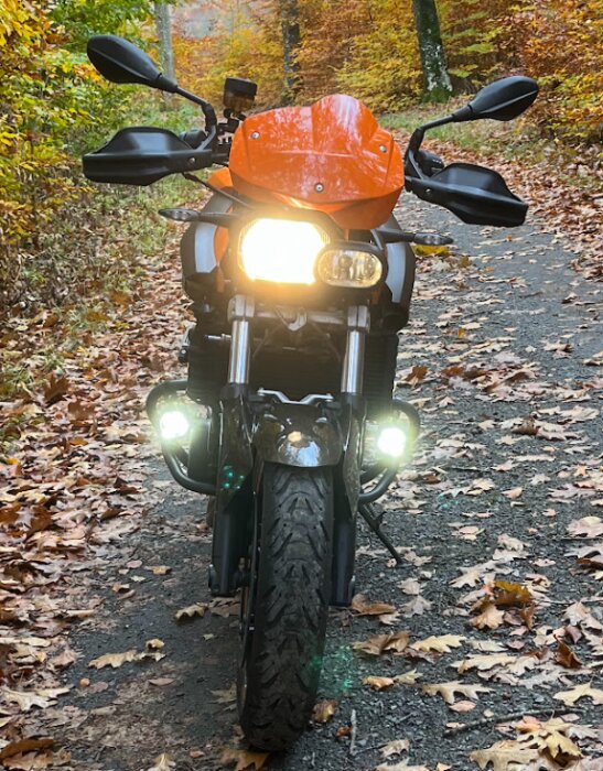 Orange motorcykel med tända lampor på en skogsväg täckt av höstlöv.
