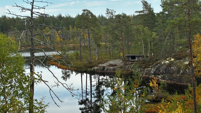 Skogssjö med spegling av träd i vattnet, omgiven av tät skog. I bakgrunden syns en enkel timmerstuga på en klippa.