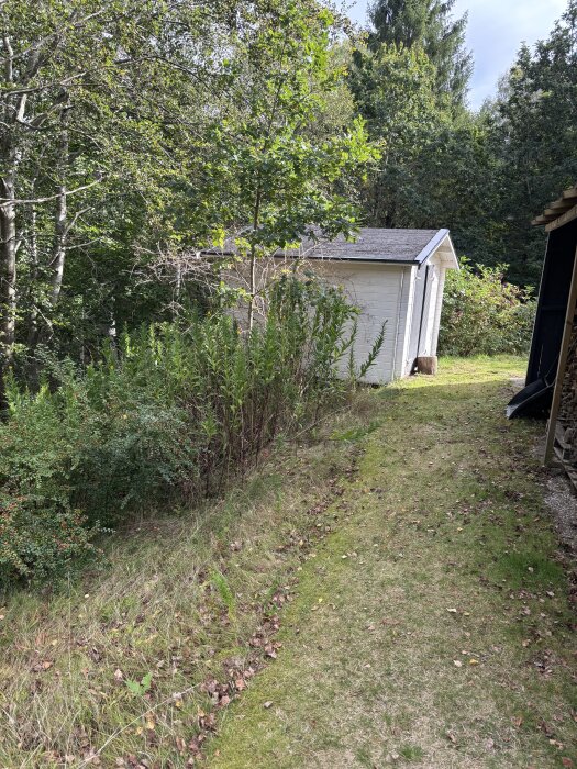 Gångstig nerför gräsbevuxen sluttning med träd och buskar intill, leder mot en liten vit stuga vid skogsbryn.