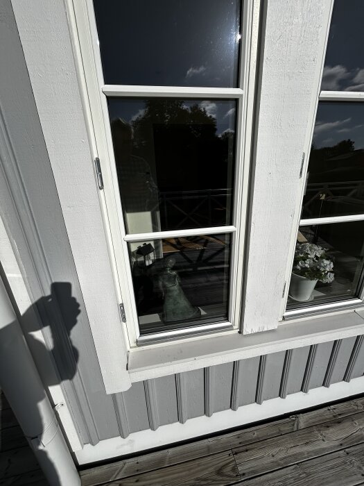 Fönster med spröjs och reflektion av ett träd utanför, en statyett inomhus och en blomkruka syns genom glaset.