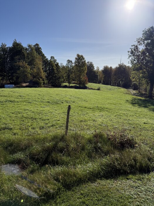 IMG_6039.jpeg