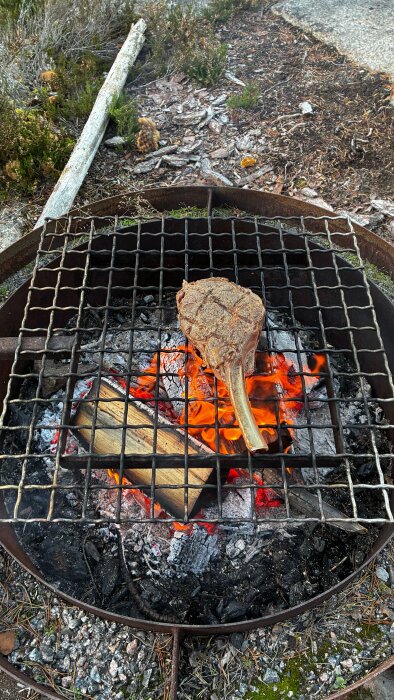 Tomahawkstek grillas över öppen eld med träkol i en utomhusgrill.