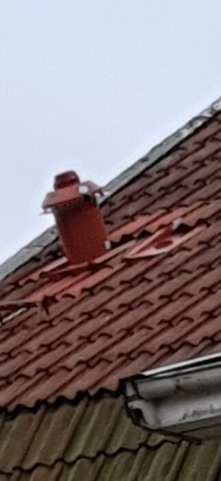 Tak med röd tegeltak och ventilationsrör; taket har reparerats provisoriskt inför framtida byte.
