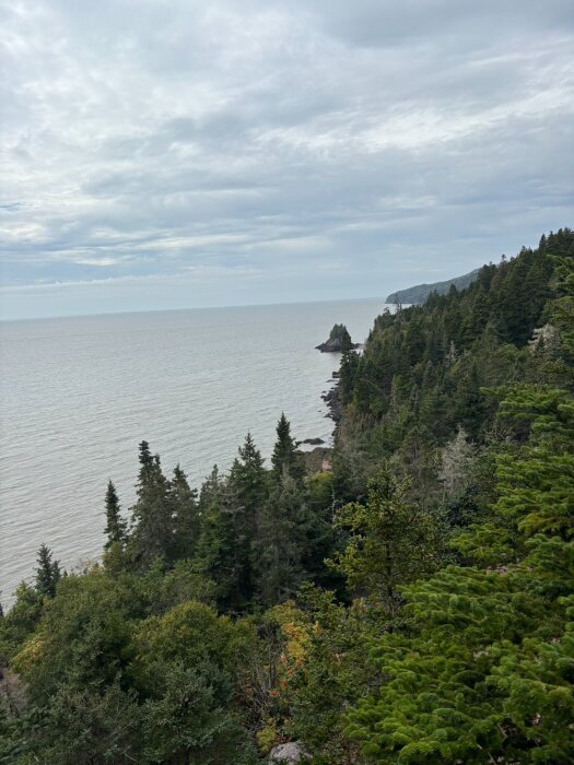 Kustlandskap med tät skog och utsikt över havet under en molnig himmel.
