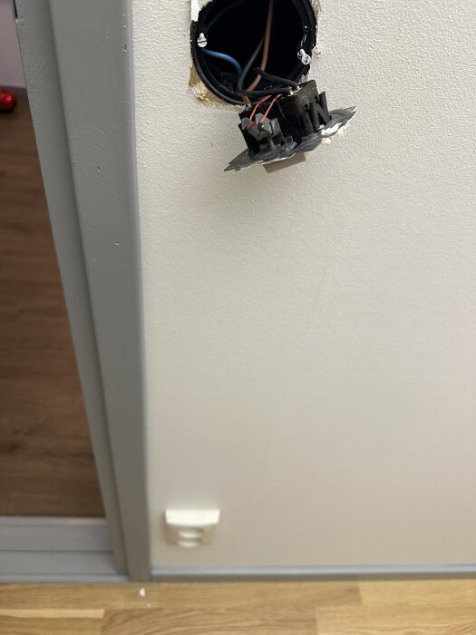 Öppen dosa med elektriska ledare, inklusive en blå ledare som går från eluttaget, synliga i en vägg vid sidan av ett trägolv.