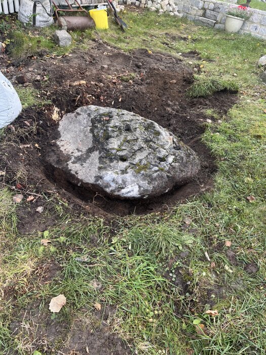 Stor sten i gräsmatta, delvis uppgrävd med omgivande jord och gräs. Verktyg och trädgårdsutrustning syns i bakgrunden.
