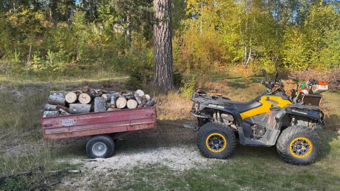 ATV med släp full med vedklabbar parkerat på en gräsmatta vid skogskant.