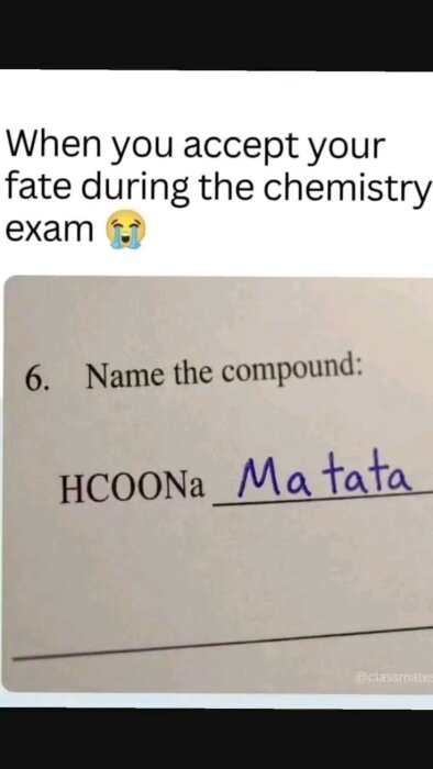 Text med humoristiskt svar på kemifråga där "HCOONa" döps till "Matata", referens till fras från sång.
