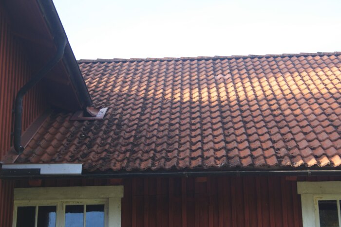 Tak med röda tegelpannor delvis täckt av mossa, efter taktvätt. Vindskivor och rännor verkar inte vara fullständigt rengjorda.