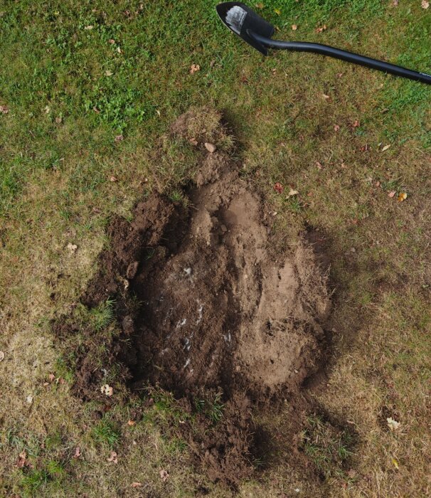 Stor sten under gräsmatta med jord runtom och en spade ovanpå marken, användare funderar på att ta bort stenen utan specialverktyg.