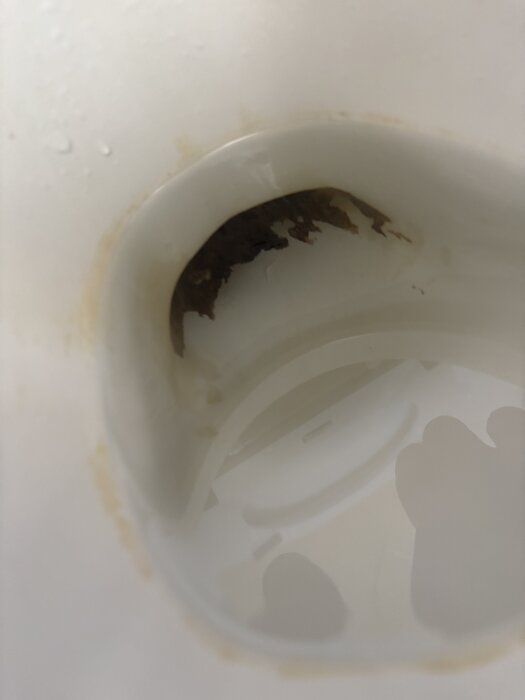 Närbild på ett porslinsföremål med bruna avlagringar eller skadad emalj på insidan.