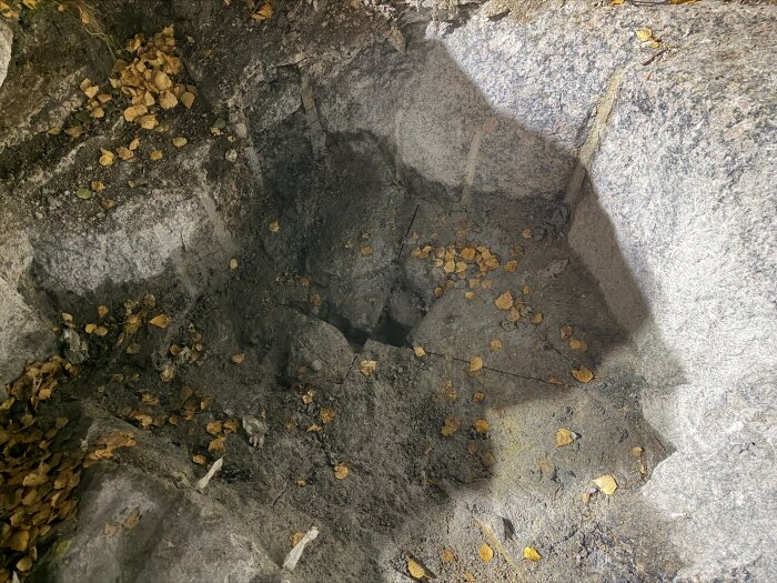 Nedsänkt klack av berg med löv och sprickor, skapade genom användning av snigeldynamit för att bryta ner stenen och förbereda för vidare arbete.