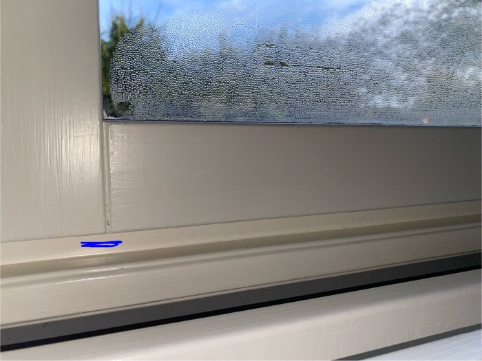 Kondens på insidan av fönster med fukt på glasrutan och träkarmen.