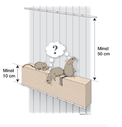 Tre möss på en träbalk med frågetecken ovanför, omgivna av instruktioner för avstånd minst 10 cm från väggen och minst 50 cm från taket.