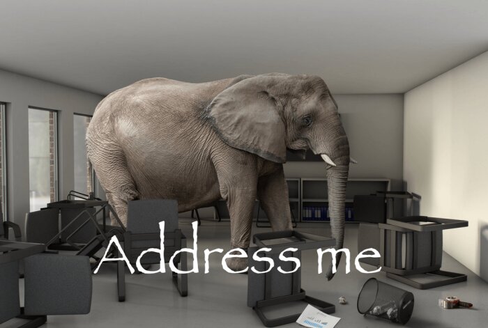 En elefant står i ett kontor med omkullvälta stolar, omgiven av texten "Address me".