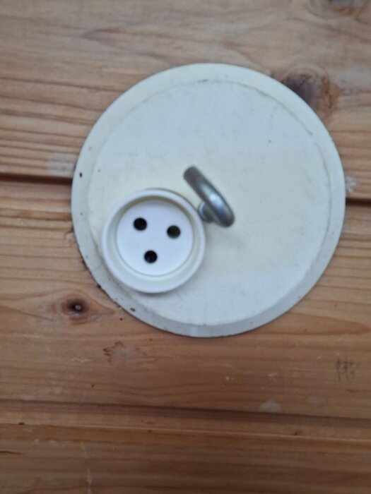 Ett vitt, runt eluttag med två hål på en trävägg och en metallögla bredvid.