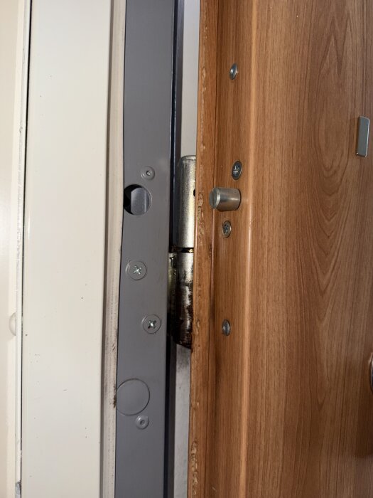 Glipa mellan dörr och karm där morgonsolen lyser igenom, visar tätaren uppe än nere och detaljer på slutblecket som skruvar och nitar.