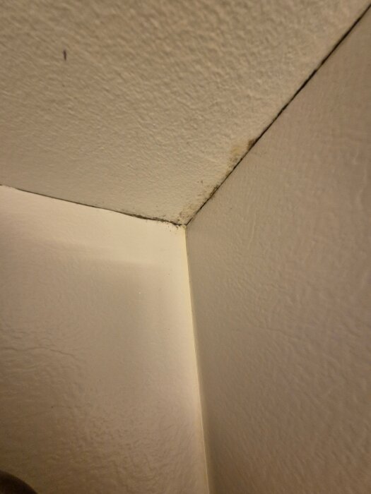 Hörn av ett rum med vita väggar och tak. En mörk missfärgning syns i skarven mellan vägg och tak, vilket kan tyda på mögel eller fuktproblem.