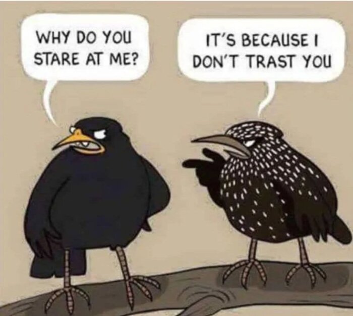Två tecknade fåglar på en gren, en fråga "Why do you stare at me?" och den andra svarar "It's because I don't trast you" med en stavad felsägning.