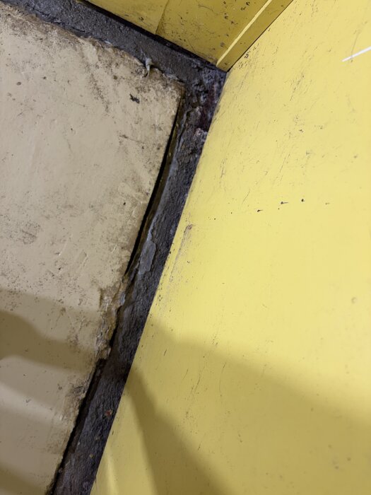 Springa mellan betonggolv och gul vägg i förråd, vittrat grund syns. Synlig liten snigel i hörnet.