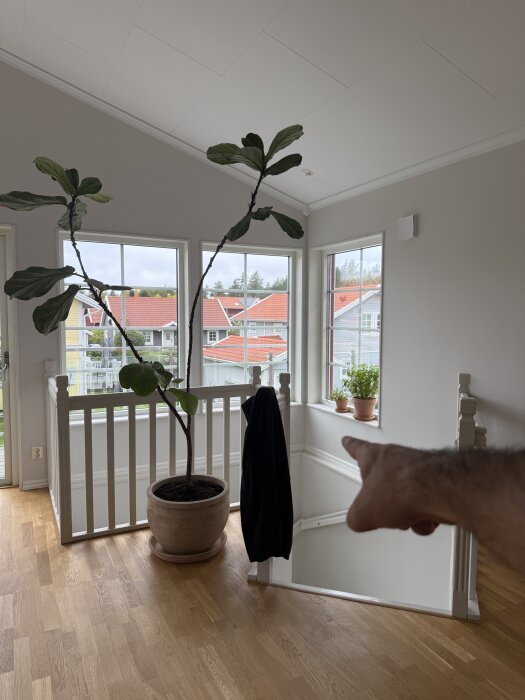 Övre trappavsats med fönster som släpper in ljus, stor grön växt i kruka, räcke, och en hand som pekar mot en trappa.