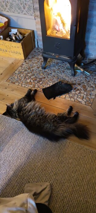 Katt ligger utsträckt framför en brinnande kamin på ett trägolv, bredvid en svart vante.