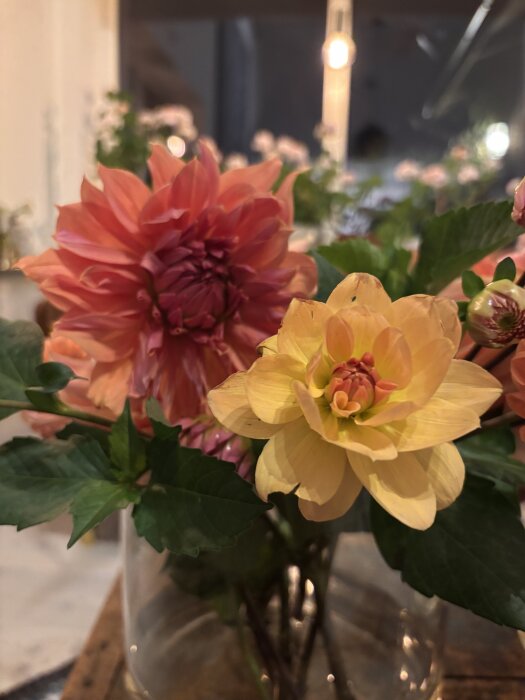 Närbild på en blombukett med en stor rosa dahliablomma och en gul dahliablomma med gröna blad i en vas inomhus.