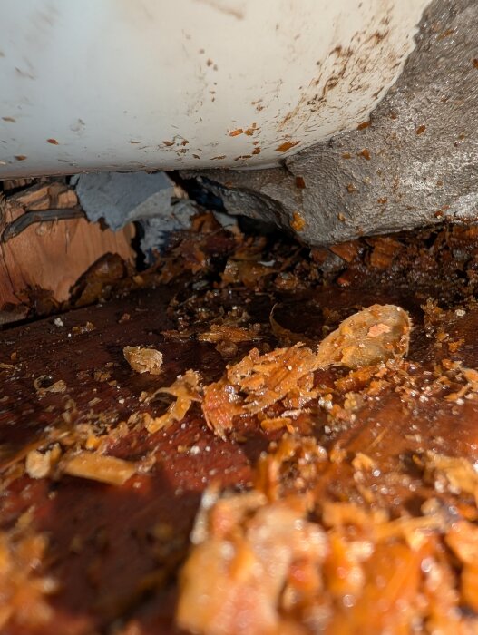 Vattenläcka från avloppsrör under toalett, med lossnad tätning och fuktiga träfragment spridda på golvet. Anpassningar för tätning synliga.