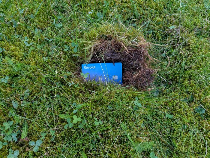 Litet hål i gräsmatta med uppgrävt grästuvor och en blått bankkort placerat bredvid som storleksreferens.