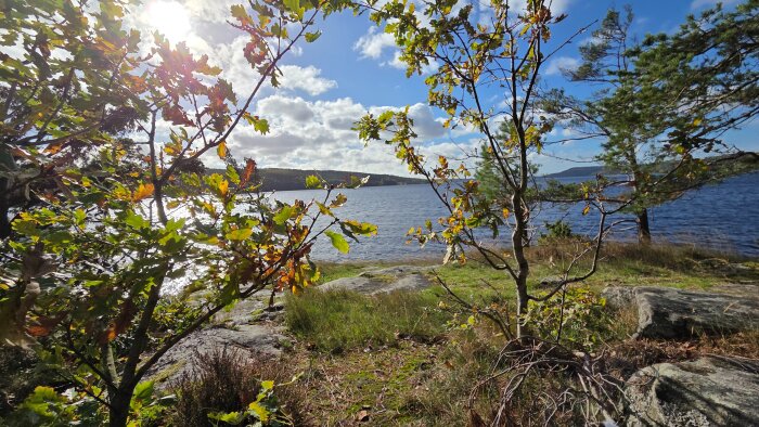 Sjön med klarblått vatten och himmel, omgiven av träd med höstlöv i solsken, och stenig, grön natur vid strandkanten.