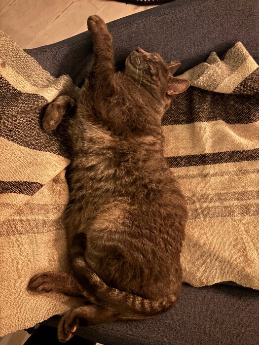 En brun katt sover på en beige och brunrandig filt på en blå soffa.
