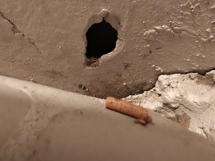 Hål i källartak med träspån, potentiellt tecken på skadedjur som gnagt; bilden användes för att identifiera insekter i huset.