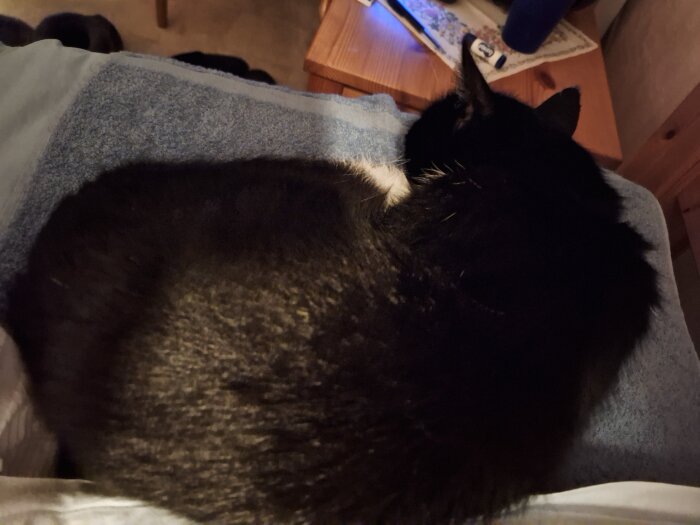 Svartvit katt sover på en grå filt i en säng, bredvid ett nattduksbord med föremål.